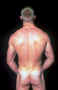 males064.jpg (19969 bytes)